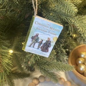 The Christmas Miracle of Jonathan Toomey