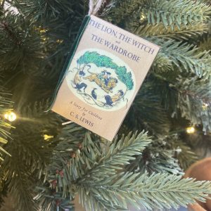 The Lion the Witch and the Wardrobe