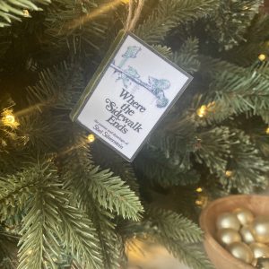 Where the Sidewalk Ends